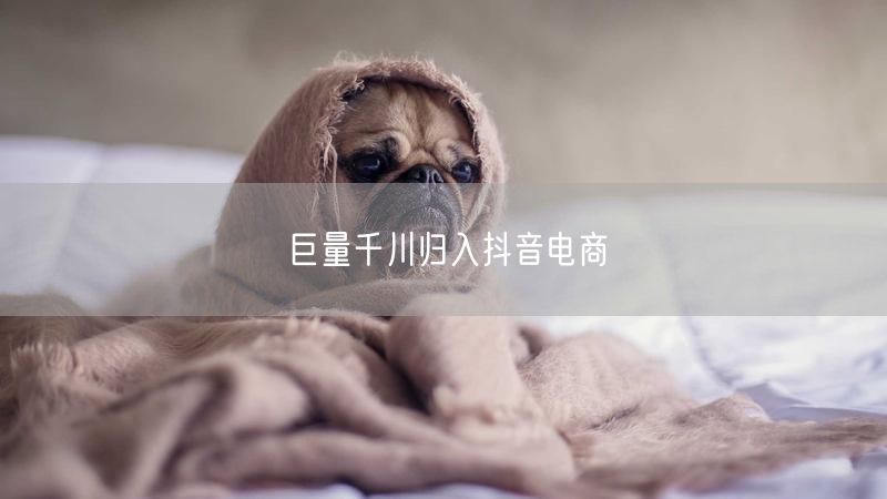 巨量千川归入抖音电商