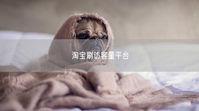 淘宝刷访客量平台