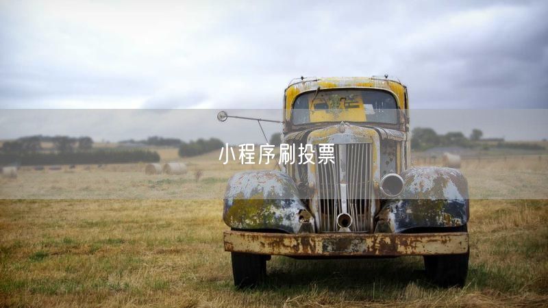 小程序刷投票