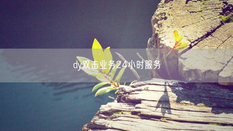 dy双击业务24小时服务