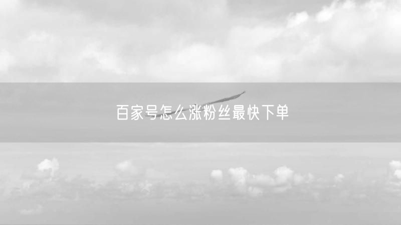 百家号怎么涨粉丝最快下单