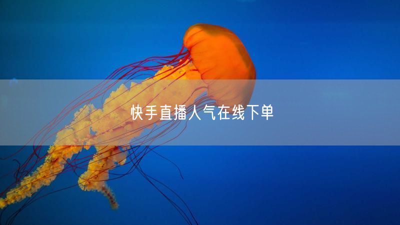 快手直播人气在线下单