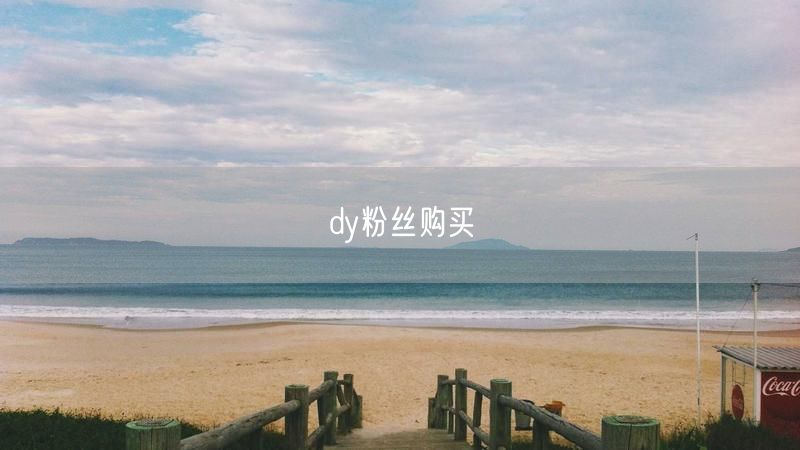 dy粉丝购买