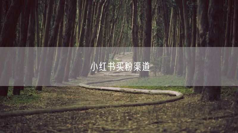 小红书买粉渠道