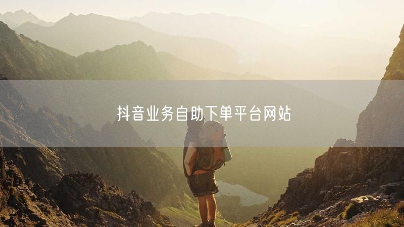 抖音业务自助下单平台网站