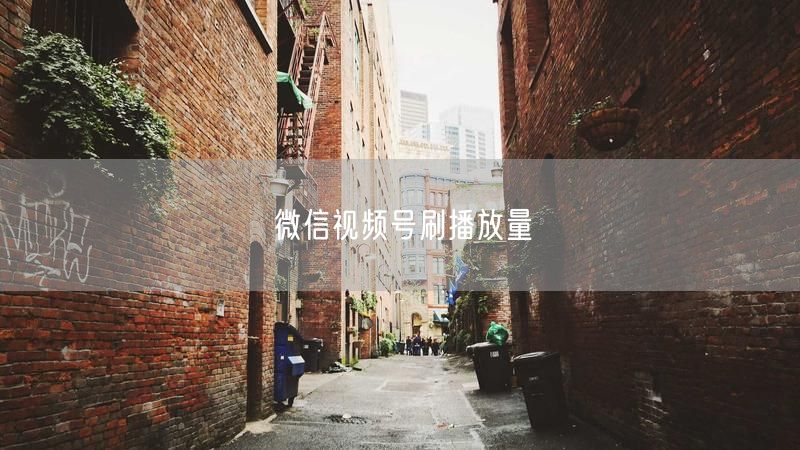 微信视频号刷播放量