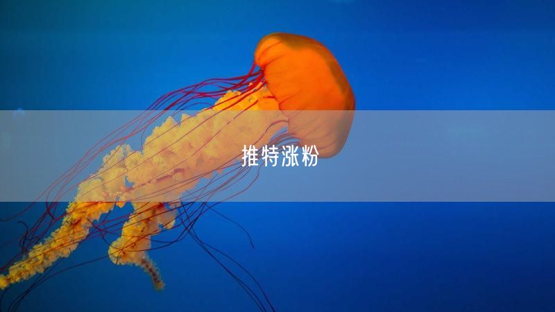 推特涨粉