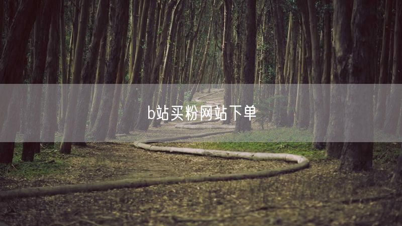 b站买粉网站下单