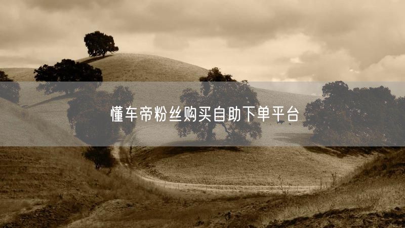 懂车帝粉丝购买自助下单平台