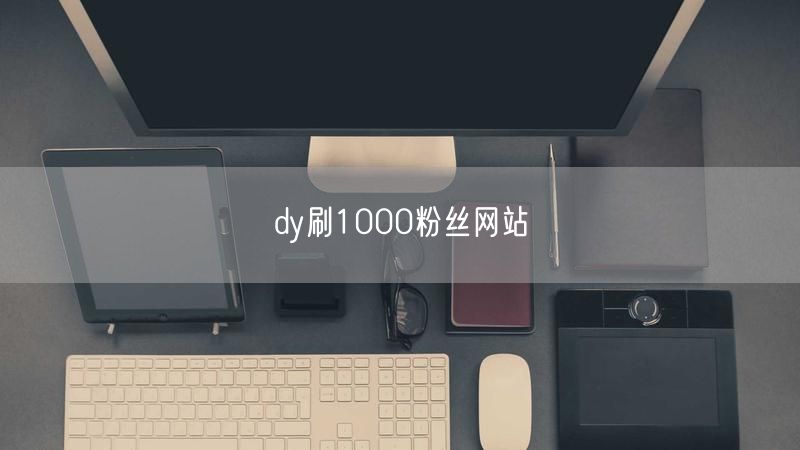 dy刷1000粉丝网站