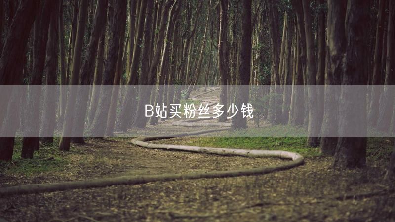 B站买粉丝多少钱