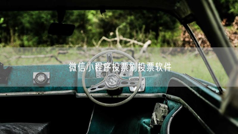 微信小程序投票刷投票软件