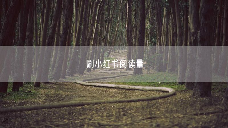 刷小红书阅读量