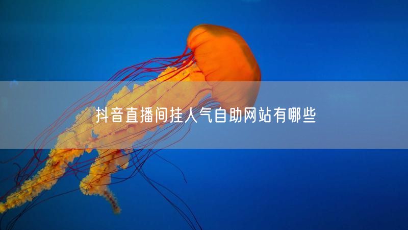 抖音直播间挂人气自助网站有哪些