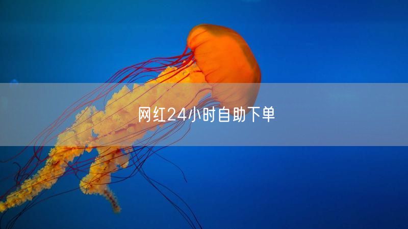 网红24小时自助下单