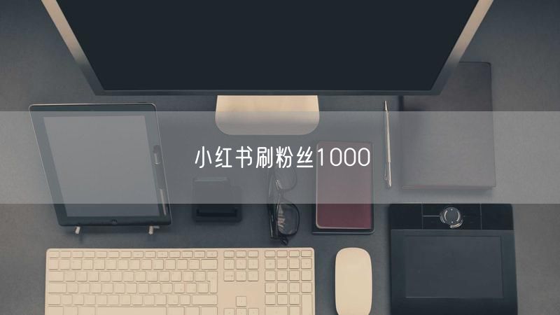 小红书刷粉丝1000