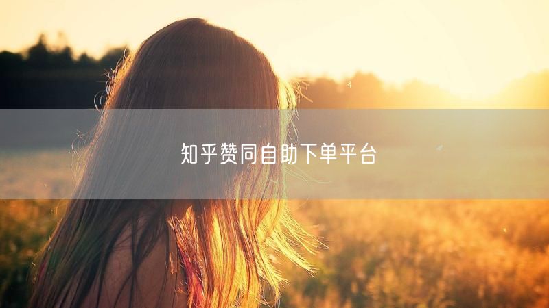 知乎赞同自助下单平台