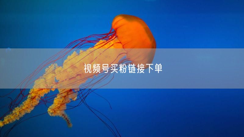 视频号买粉链接下单
