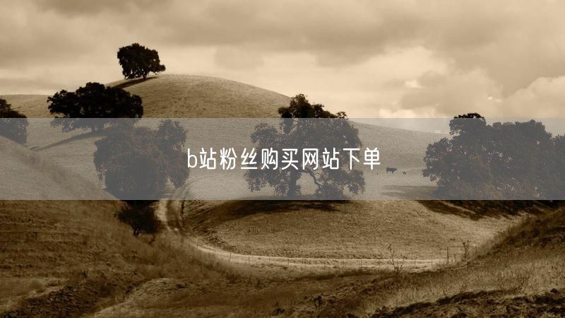 b站粉丝购买网站下单
