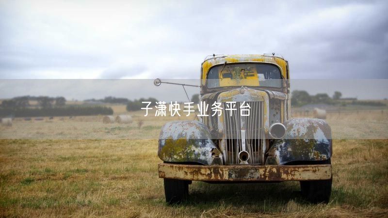 子潇快手业务平台