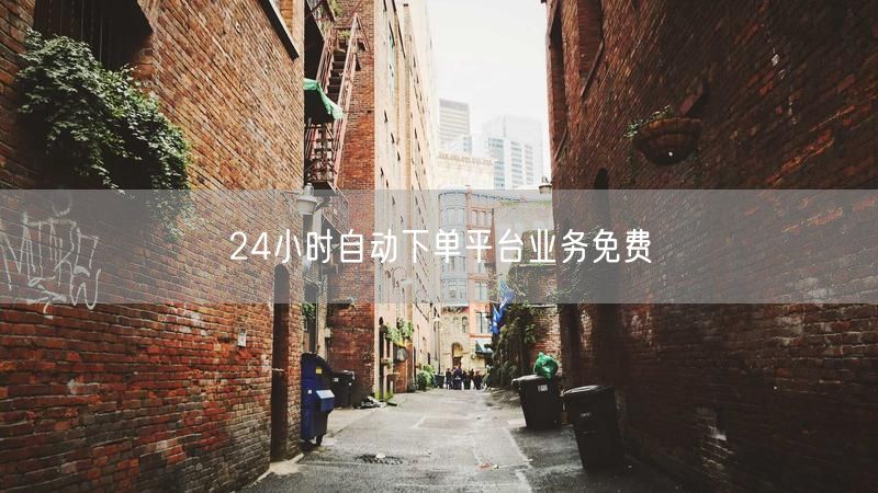24小时自动下单平台业务免费