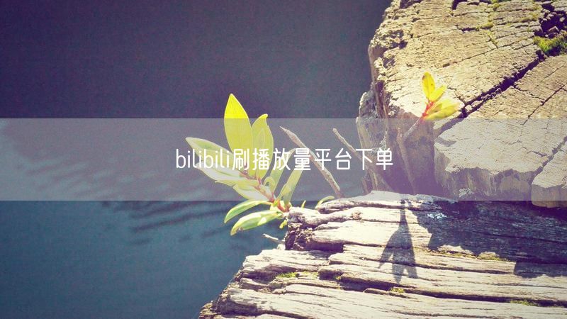 bilibili刷播放量平台下单