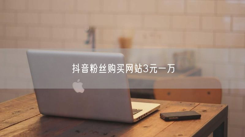 抖音粉丝购买网站3元一万