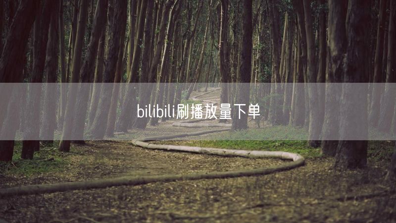 bilibili刷播放量下单