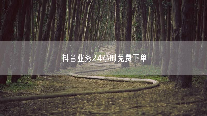 抖音业务24小时免费下单