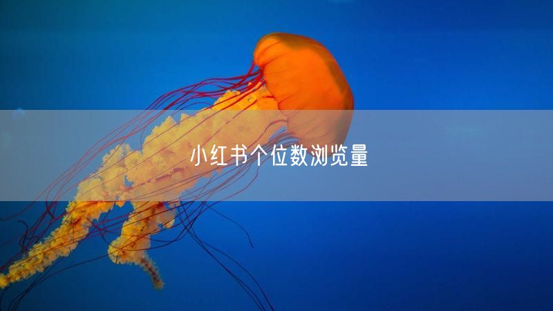小红书个位数浏览量