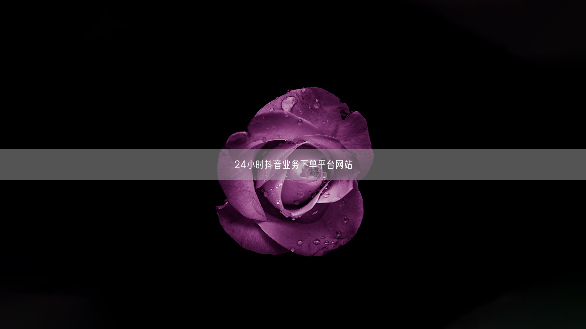 24小时抖音业务下单平台网站