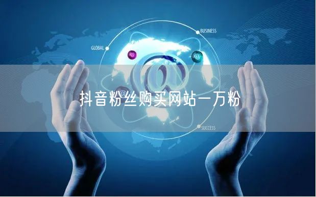 抖音粉丝购买网站一万粉