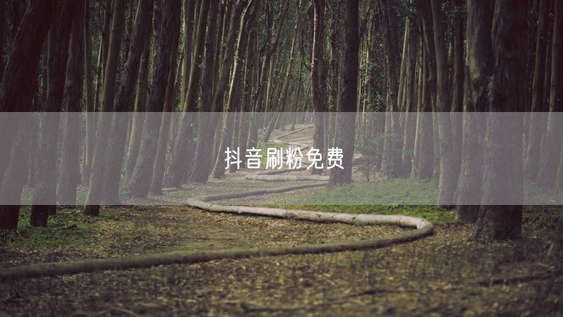 抖音刷粉免费