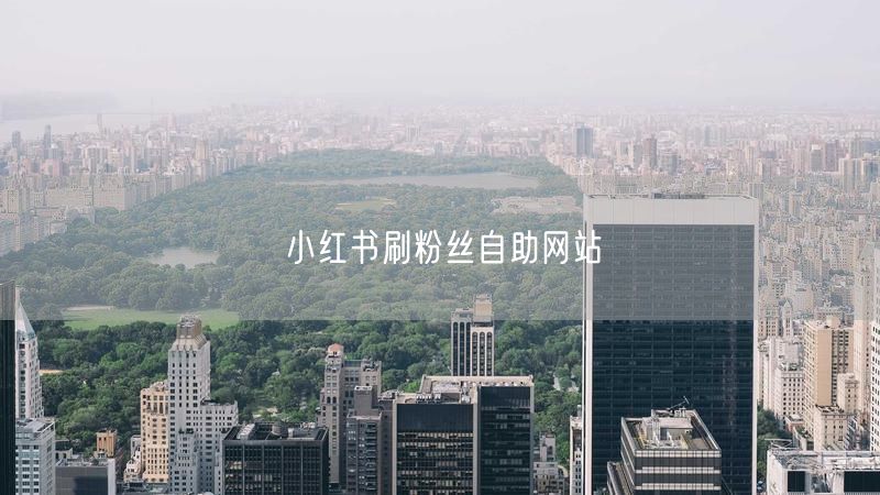 小红书刷粉丝自助网站