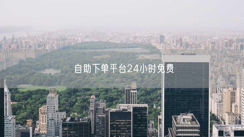 自助下单平台24小时免费
