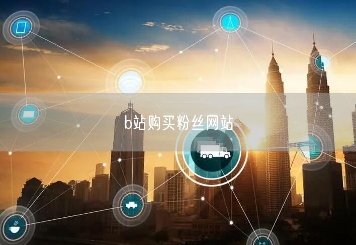b站购买粉丝网站