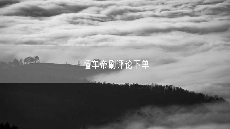 懂车帝刷评论下单
