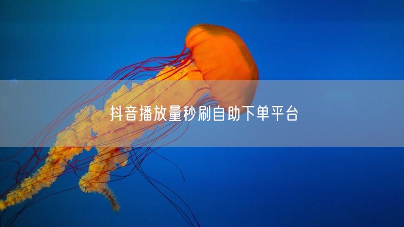 抖音播放量秒刷自助下单平台