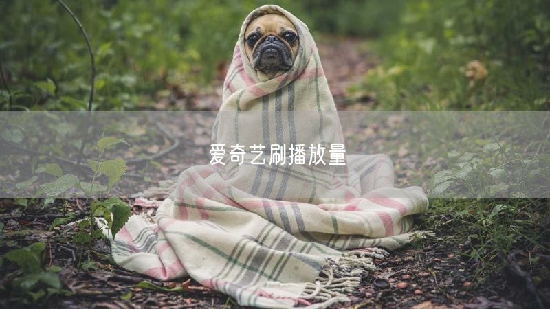 爱奇艺刷播放量