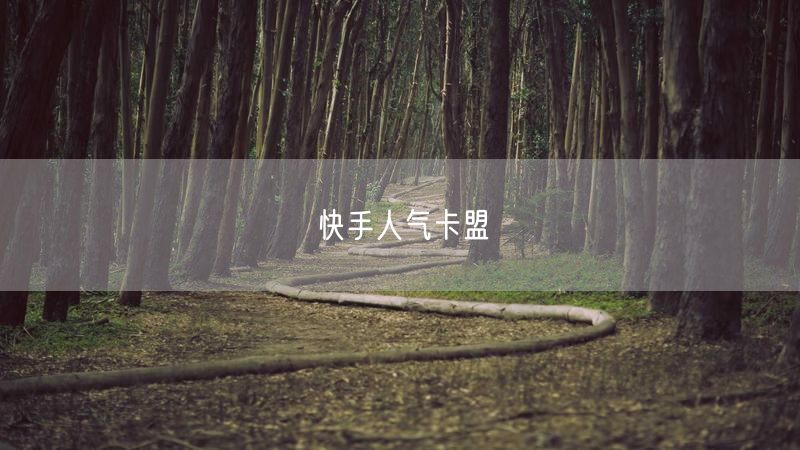 快手人气卡盟