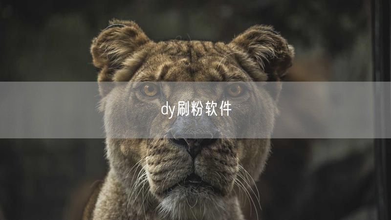 dy刷粉软件