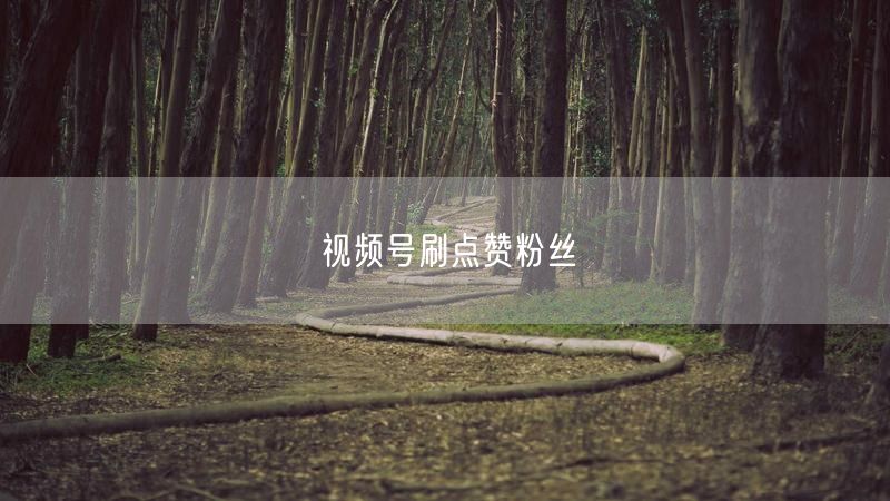 视频号刷点赞粉丝
