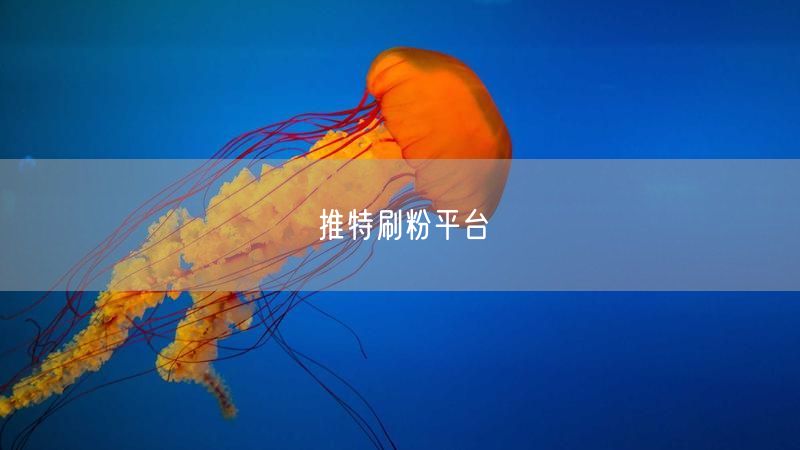 推特刷粉平台