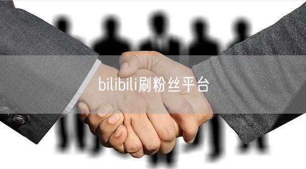 bilibili刷粉丝平台