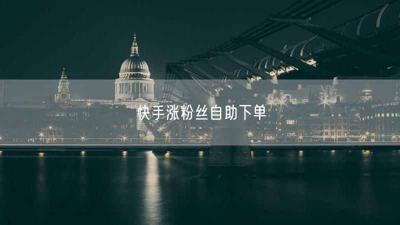 快手涨粉丝自助下单