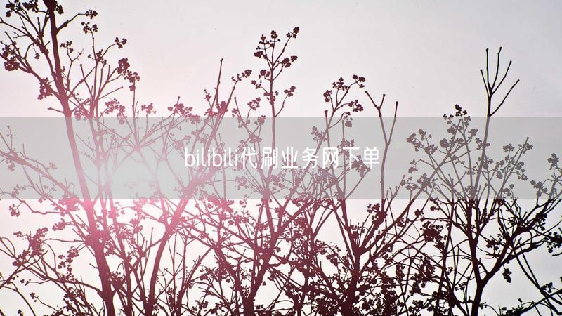 bilibili代刷业务网下单