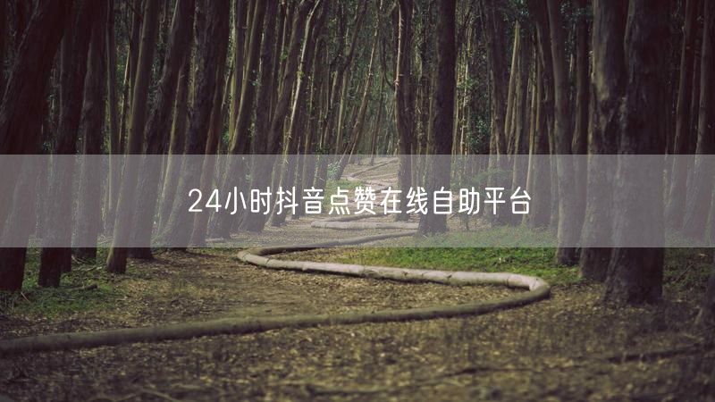 24小时抖音点赞在线自助平台