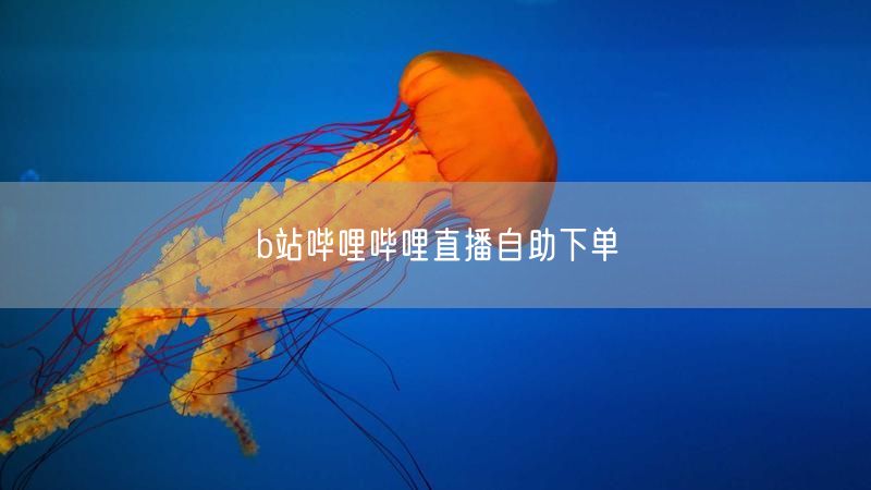 b站哔哩哔哩直播自助下单