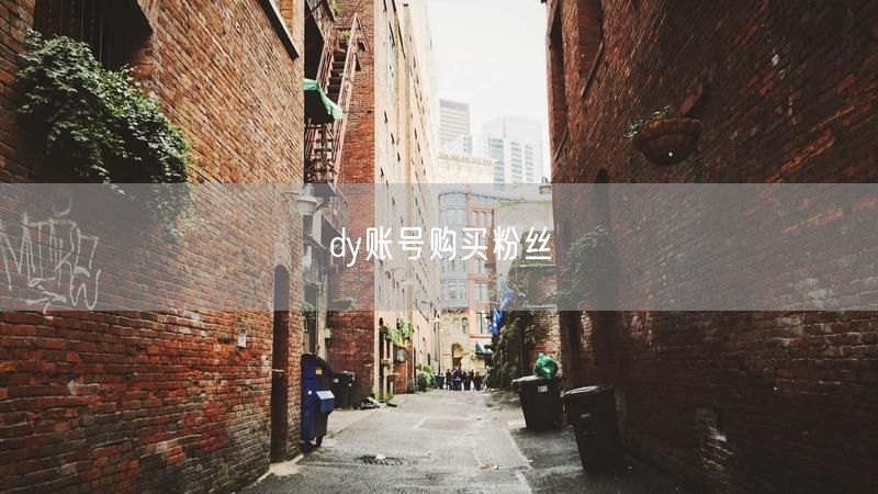 dy账号购买粉丝
