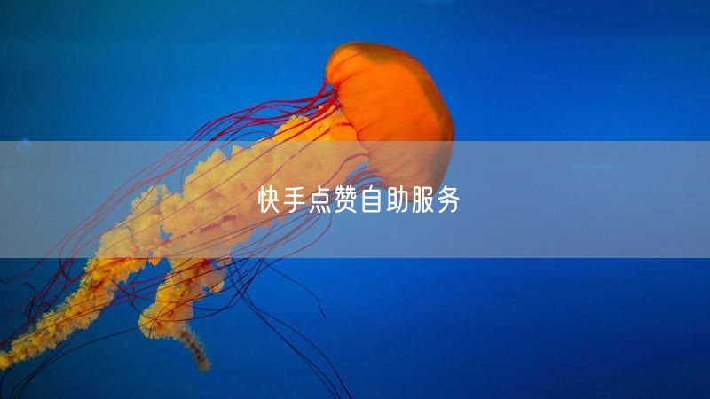 快手点赞自助服务